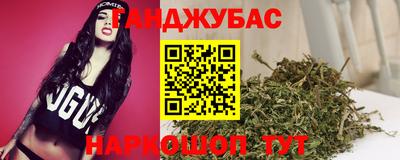 гидра Будённовск