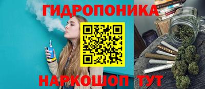 гидра Будённовск
