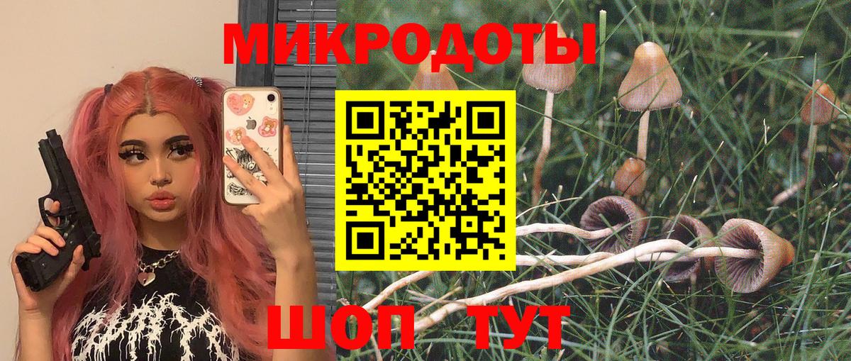 Галлюциногенные грибы Magic Shrooms Семёнов