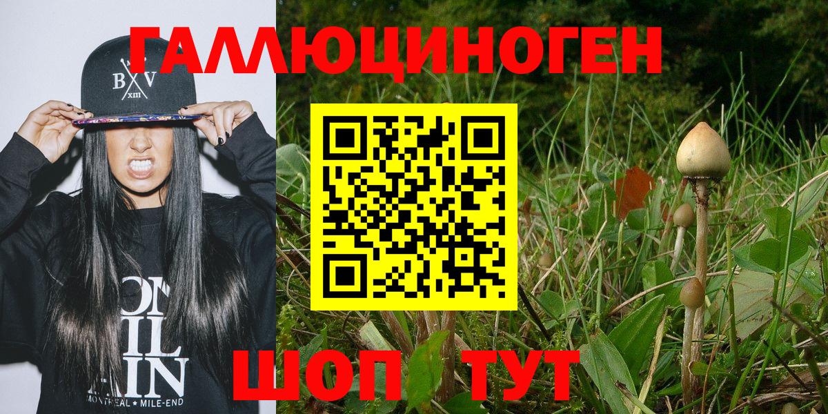 Семёнов  Псилоцибиновые грибы MAGIC MUSHROOMS  Галлюциногенные грибы MAGIC MUSHROOMS  Вход с VPN 